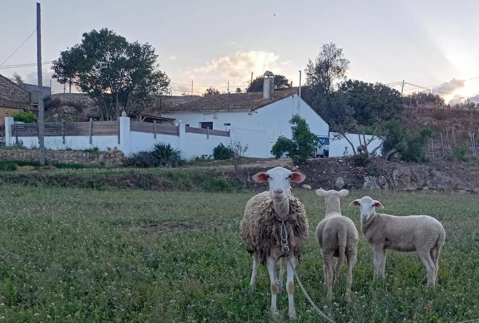 Casa Rural L'Ampolleta L'Ampolla